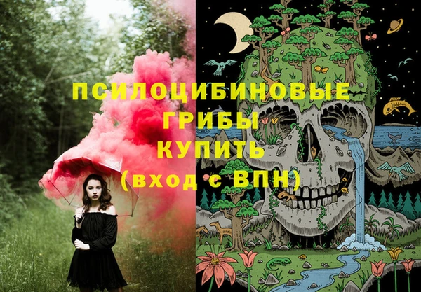 бошки Баксан