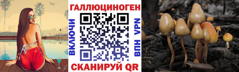 цена наркотик  Заречный  Псилоцибиновые грибы Magic Shrooms 