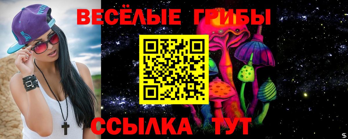 купить  цена  Псилоцибиновые грибы Magic Shrooms  Вход с VPN  Заречный 
